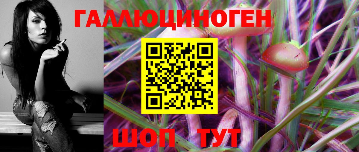 дарнет шоп  Псилоцибиновые грибы MAGIC MUSHROOMS  Вход с VPN  Аша 